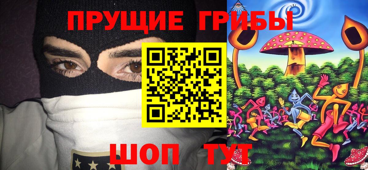 Псилоцибиновые грибы ЛСД Карабулак