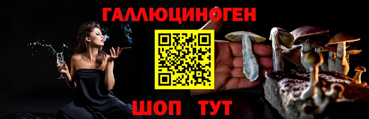 Псилоцибиновые грибы Psilocybine cubensis  Вход с VPN  Карабулак  сколько стоит  Псилоцибиновые грибы прущие грибы 